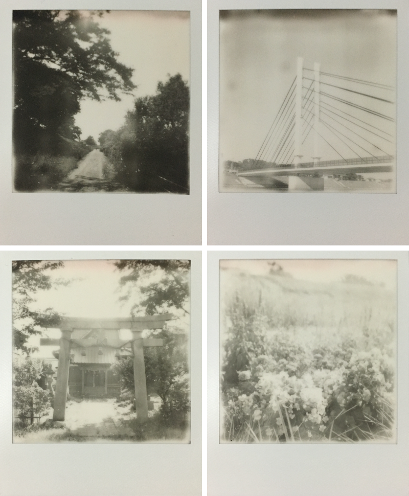 163865834675_0_tb_sqeeyl