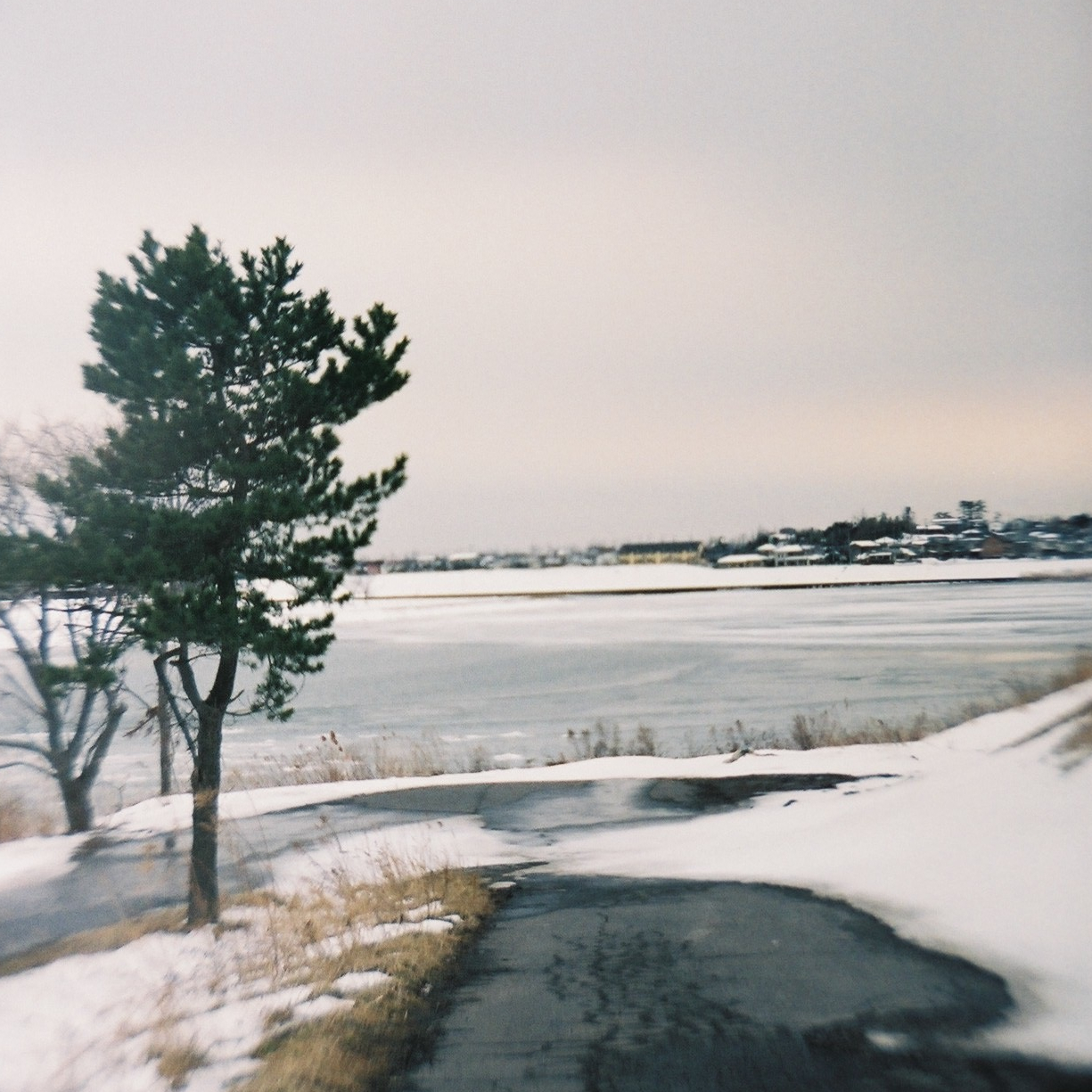 24314269615_6ac15cd831_o