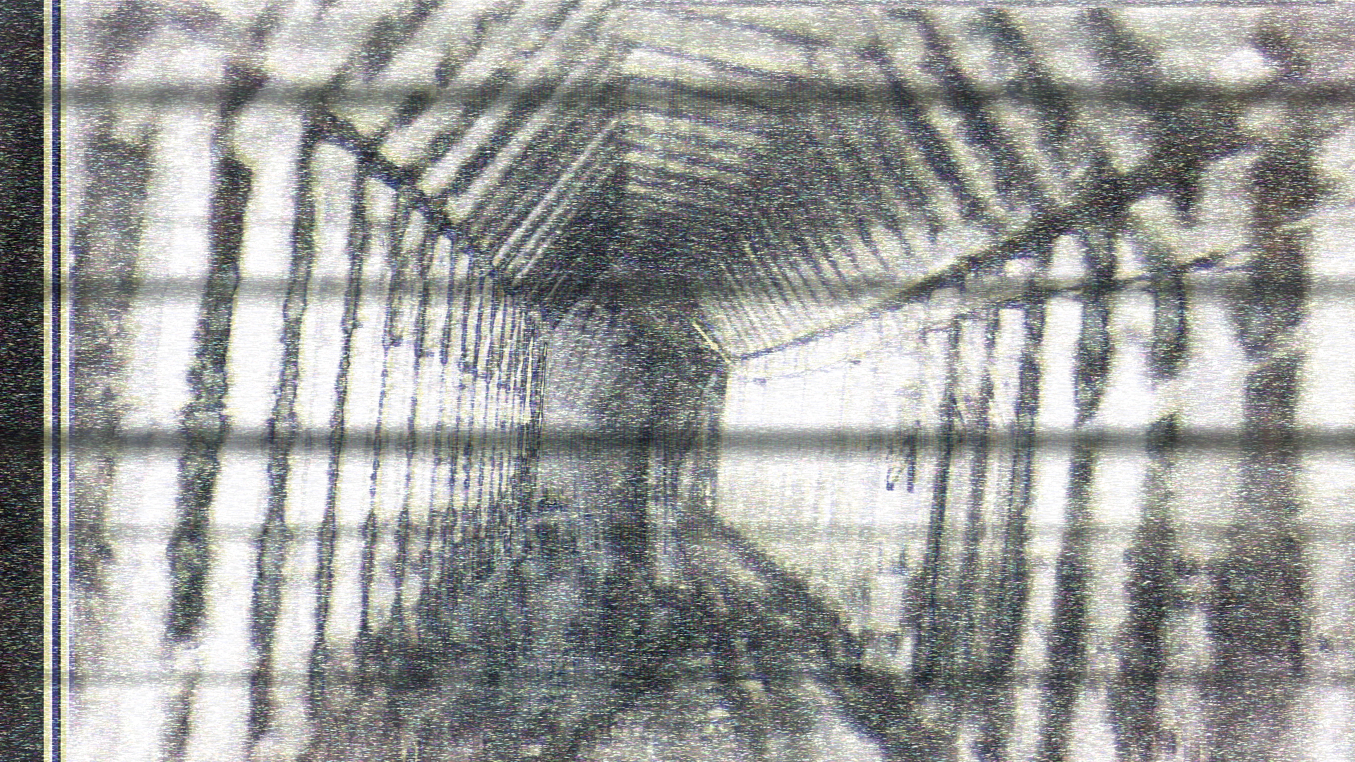 74878994879595828p8o_11b5b1801eaabf15_2021-12-29_230821